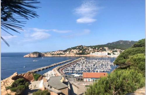 Nuevo Luminoso Apartamento Catalina a 80 metros de la playa para 4 personas - Foto 54