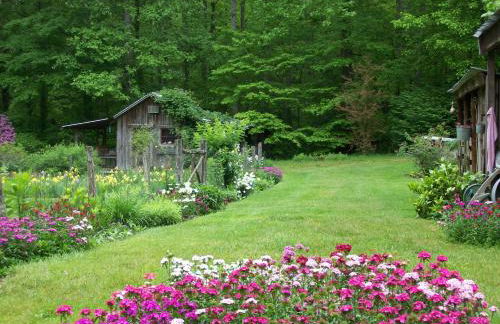 Garden of Eden Cabins - Photo 1