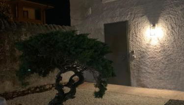 Magnolia Country House - Foto 3