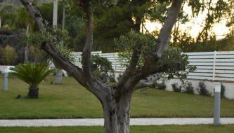 Villa dei Pioppi Deluxe - Foto 5, Garden, Garden view