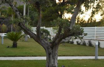 Villa dei Pioppi Deluxe - Foto 5