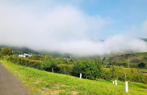 Ferienhaus Scheid - Foto 40