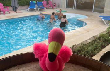 Les Bougainvillées de Camargue - Photo 52