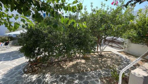 Iro's Cute House - Foto 3, Garden, Garden view