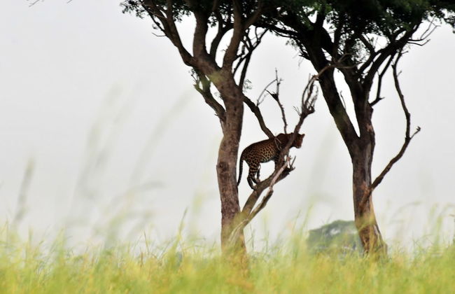 Victoria Lake View Guest House & Safaris - Photo 32