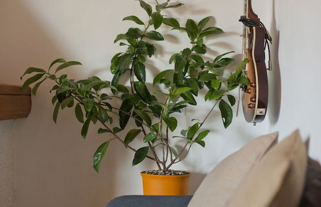 Apos Place in Pefki With 1 Bedrooms and 1 Bathrooms - Foto 7