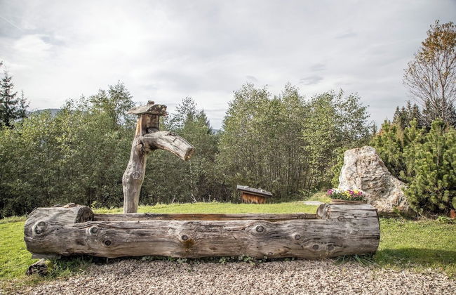 Buccara Zwischenbachalm - Foto 37