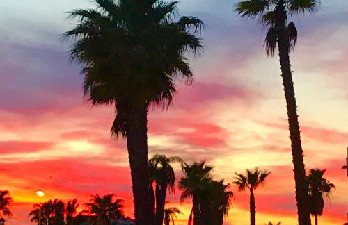 Villa con jardín en Oliva Nova Golf a 100m de la playa - Photo 36