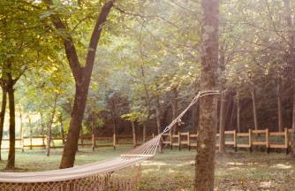 Lunigiana Experience - Foto 11