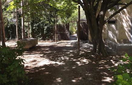 Lou Pichoun Jas - Photo 12