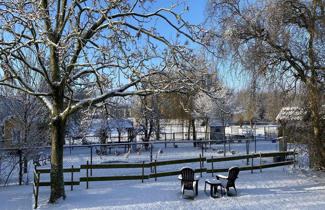 Cozy Holiday Home in Bergen op Zoom With Garden - Foto 32