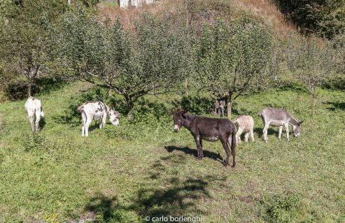 A small house in a fairytale village - Foto 30