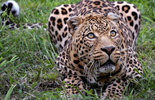 Luxurious Holiday Home in Hamoir With Terrace - Foto 22