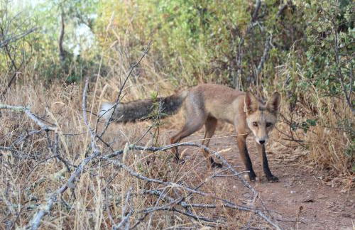 Agroturismo Xistos - Foto 47