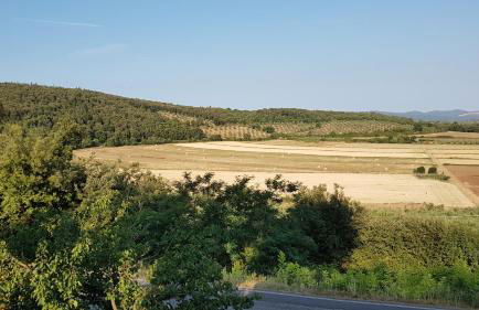 Sonnellino in Maremma - Foto 18