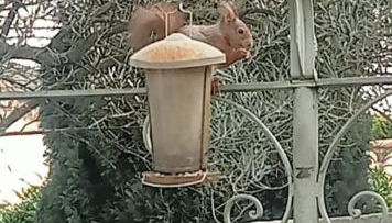petite maison avec jardin calme - Photo 4, Garden