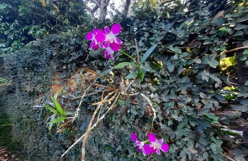 Recanto do Marcô, casa charmosa em meio a natureza - Foto 24