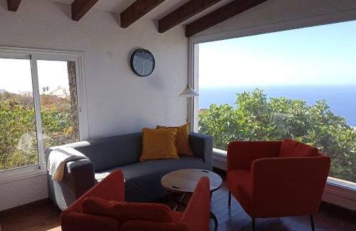 Dos Violetas - Foto 9