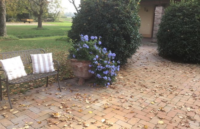 Alla Cedrara agriturismo - Foto 28