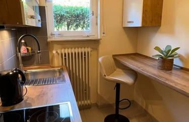 City Chillout Heidelberg Appartement with Sauna & Pool - Foto 19