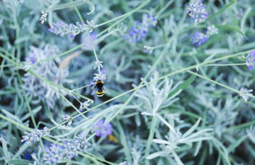 Modern Villa With Sea View In Vallebona - Foto 40