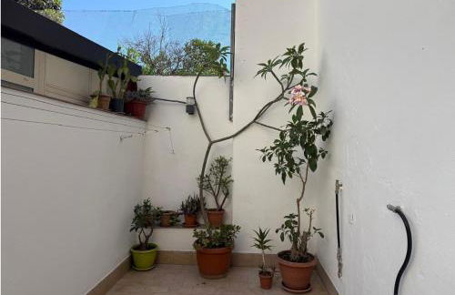 Donna Lola - Foto 24