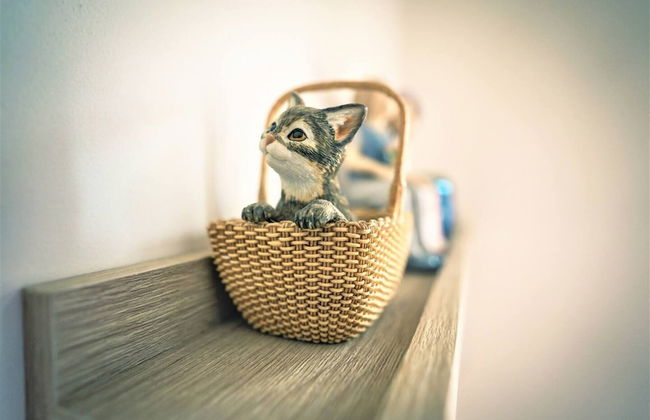 Charming 4-bed, Pet Friendly House in Liverpool - Foto 26