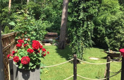 Welsh Dragon - Foto 23