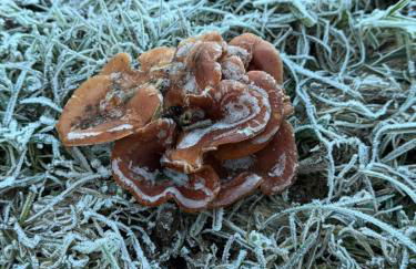 Apartamentos El Caxigu - Foto 38