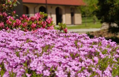 Pensjonat Enklawa - Foto 19