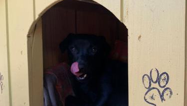 Recanto Nativos - Foto 5