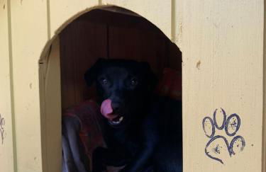 Recanto Nativos - Foto 5