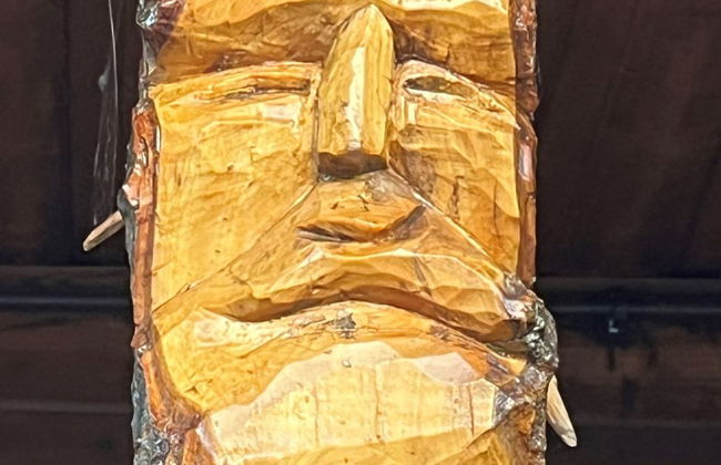 Kierlikówka - Foto 13