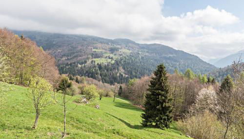 Baita Rustica immersa nel verde - Photo 4