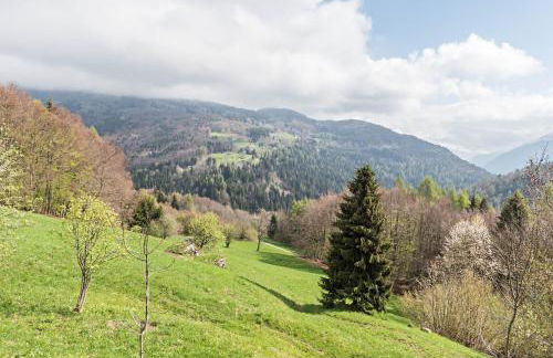 Baita Rustica immersa nel verde - Photo 4