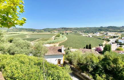 Artisan´s Guest House - Foto 67