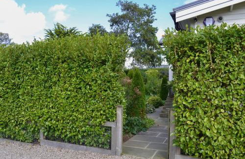 Wheal Metal Lodge - Foto 18