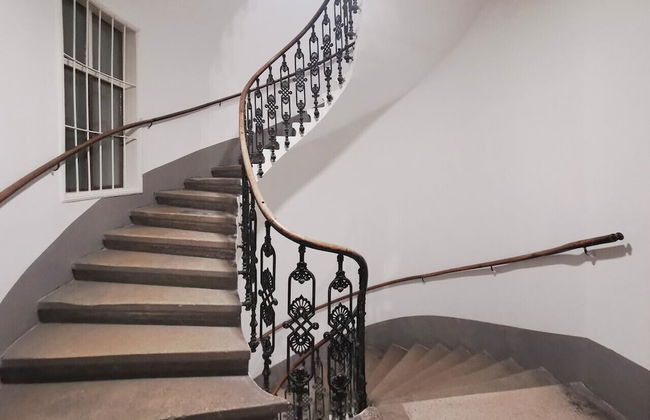 Yellow Palm - Foto 18