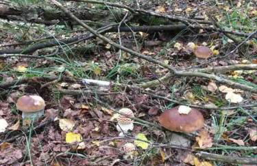 Le hameau de Donnedevie - Foto 36