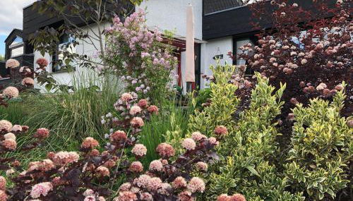 Ferienhaus Schöner Maarblick - Foto 3, Garden, Garden view
