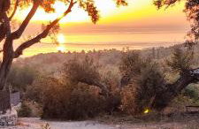 Casa Tereza - Foto 24