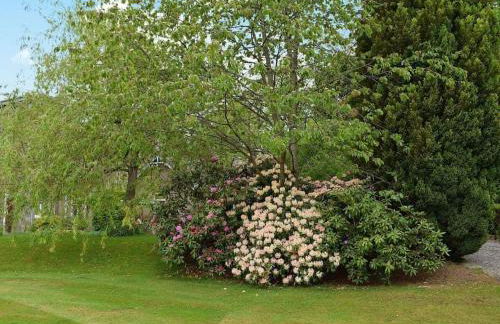 Glebe Cottage, Scone - Photo 7