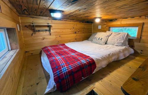 Shiners Shack - Foto 3