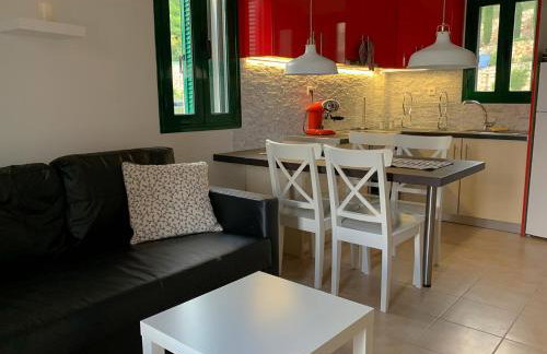 Katarina Apartments Kefalonia - Sea View - Foto 39