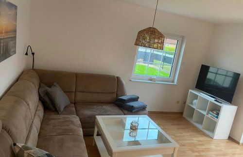 Zaunkönigin - Foto 11