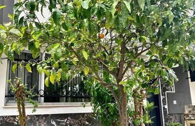 8 Rooms House - Foto 45