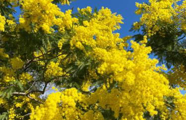 Résidence Terra Théa - Foto 103