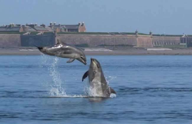 Charming 2-bed Cabin in Inverness, Scotland - Photo 18