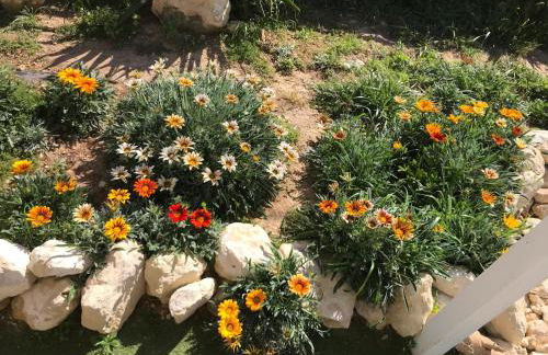 Villa Andres - Foto 57