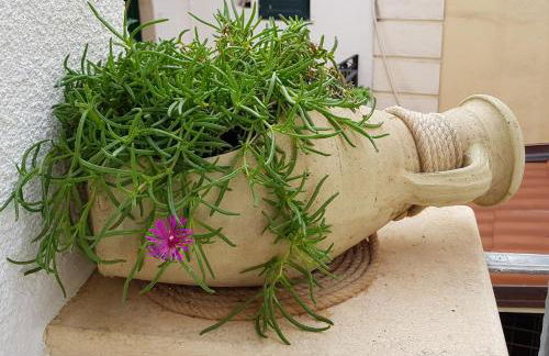 Petra Marina Home - Foto 56